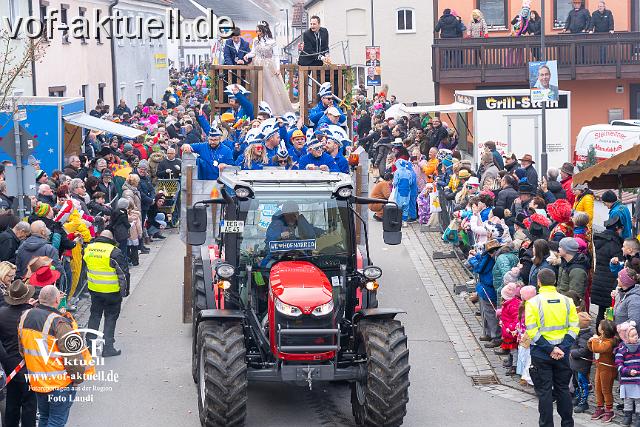 Foto Laudi_Pleintinger_Faschingszug-206120.jpg